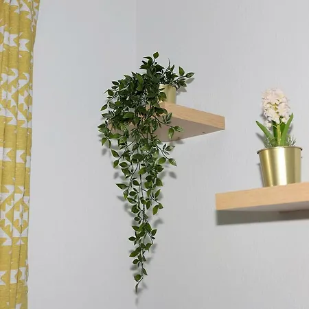 Nunthorpe Road Apartment York